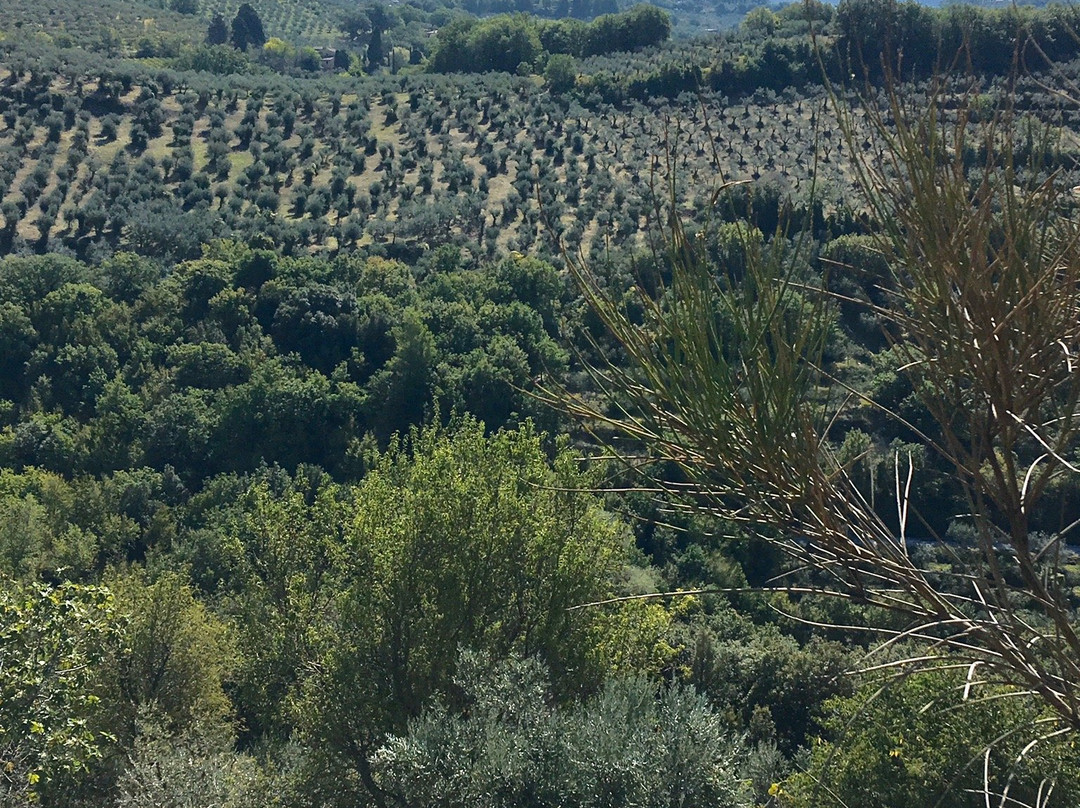 博奇宫酒店主图