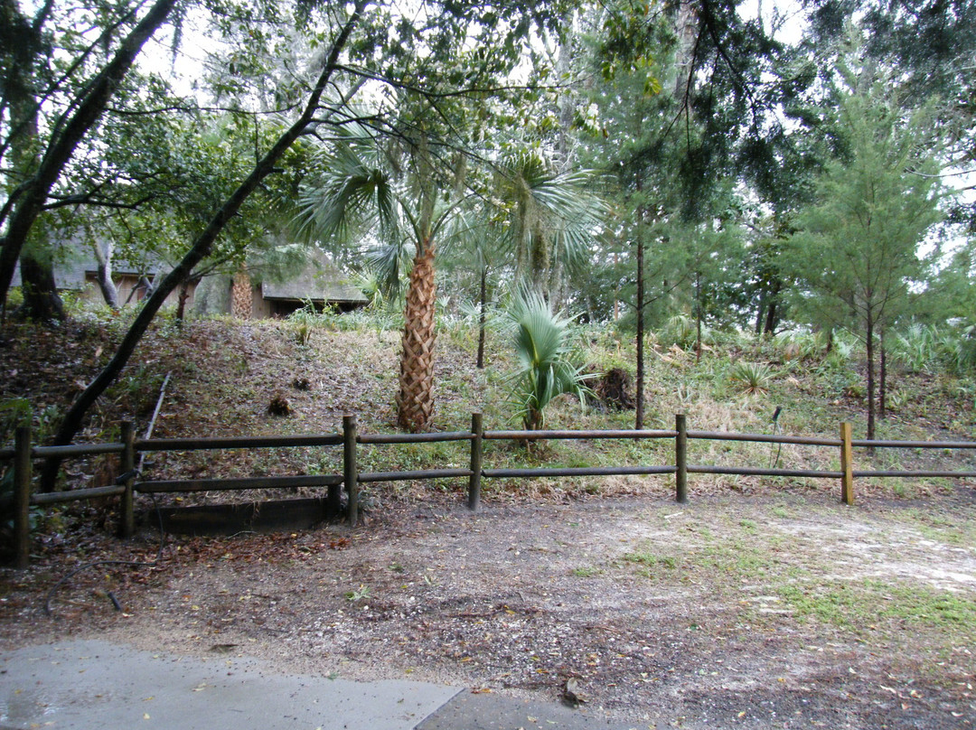 Indian Temple Mound and Museum景点图片