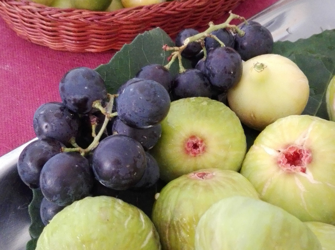 Bed And Breakfast Serendipity主图