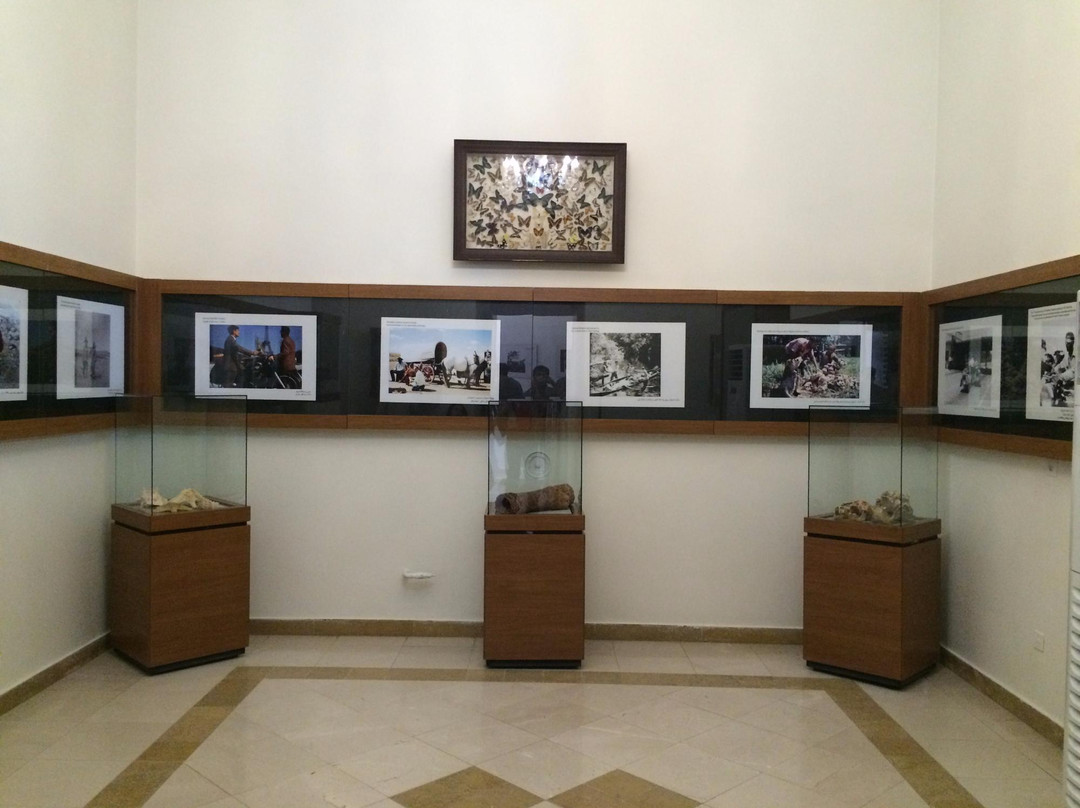 Omidvar Brothers Museum-德黑兰必去景点