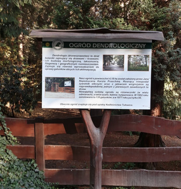 Arboretum w Lipnie-Lipno必去景点