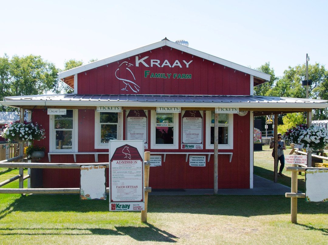 Kraay Family Farm景点图片