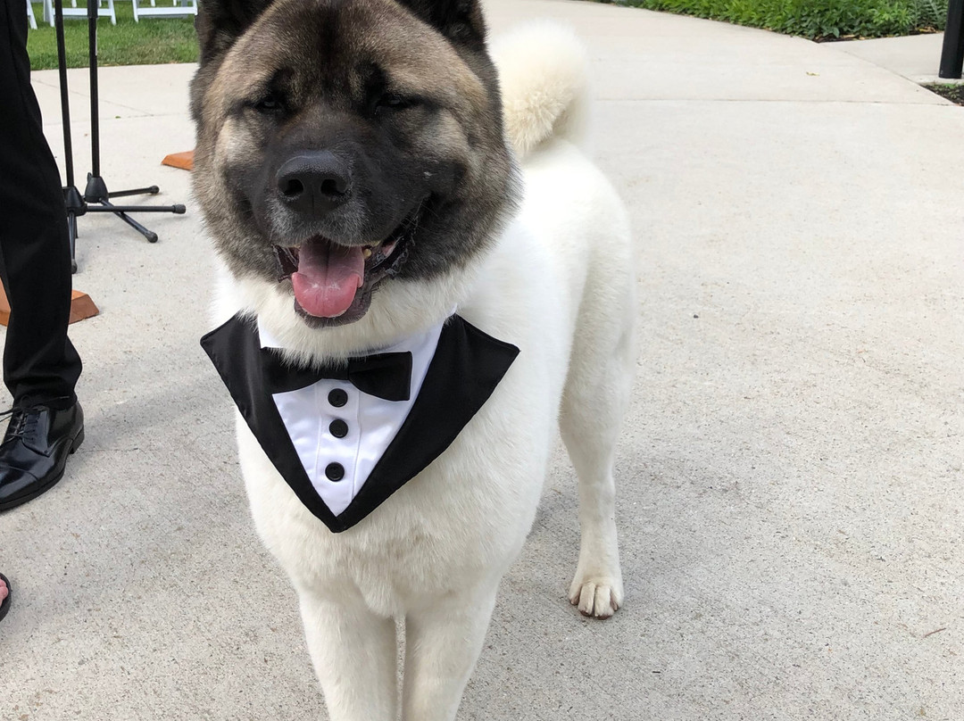 The Cove Lakeside Resort主图