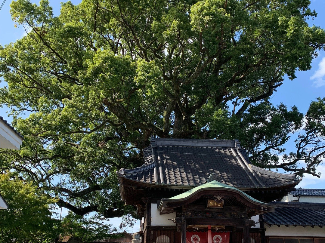 Ancho-ji Temple景点图片