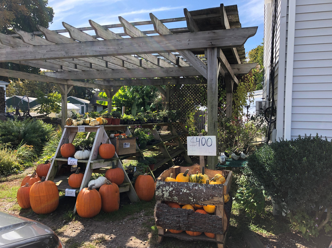 Logee's Greenhouses-Killingly必去景点