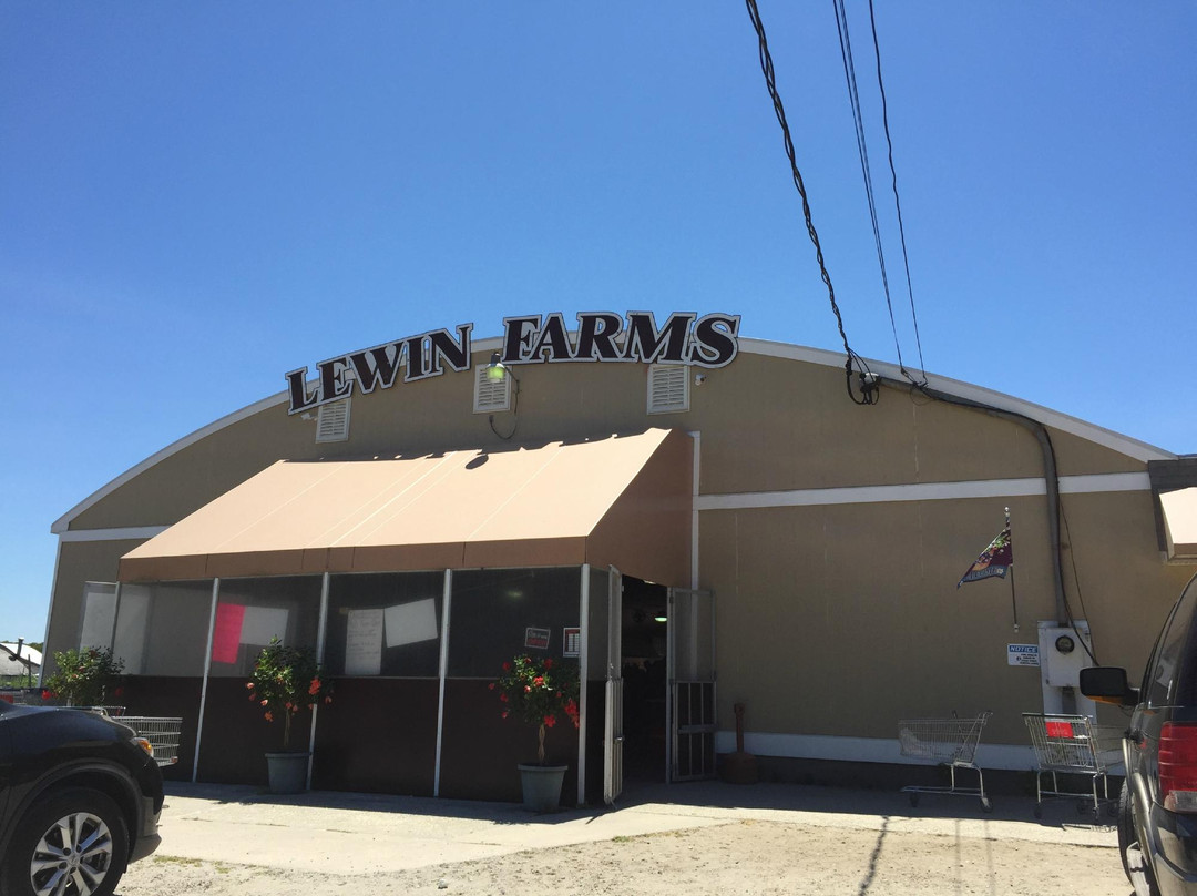 Lewin Farms景点图片