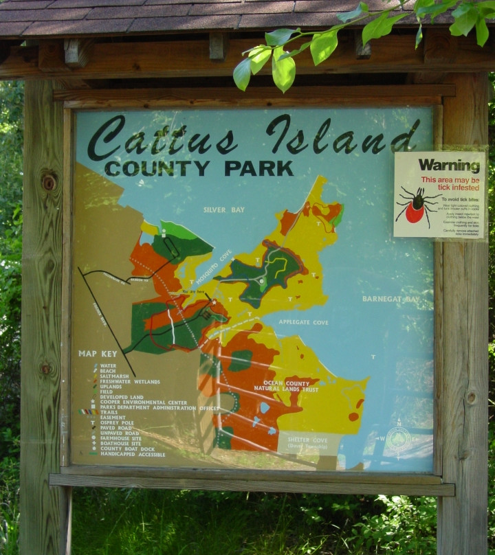 Cattus Island County Park景点图片