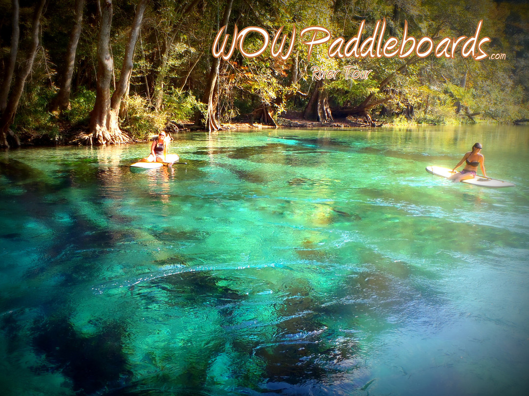 Walkin' On Water Paddleboards景点图片