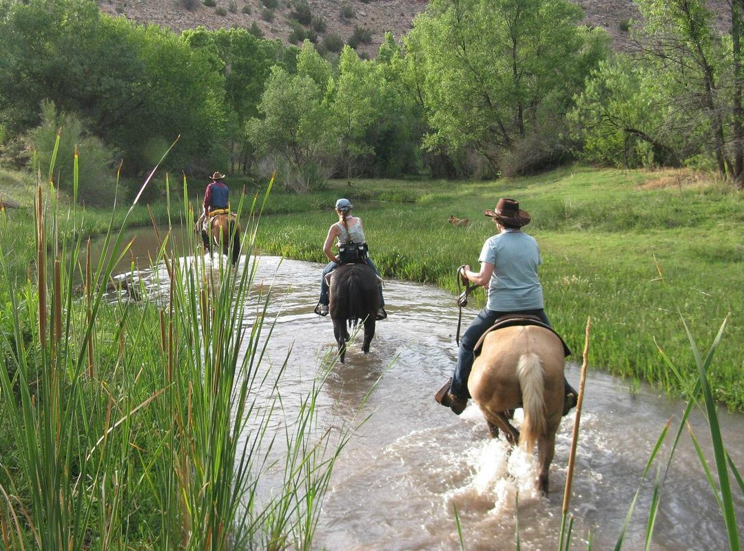 Cowboy Way Adventures-Wickenburg必去景点