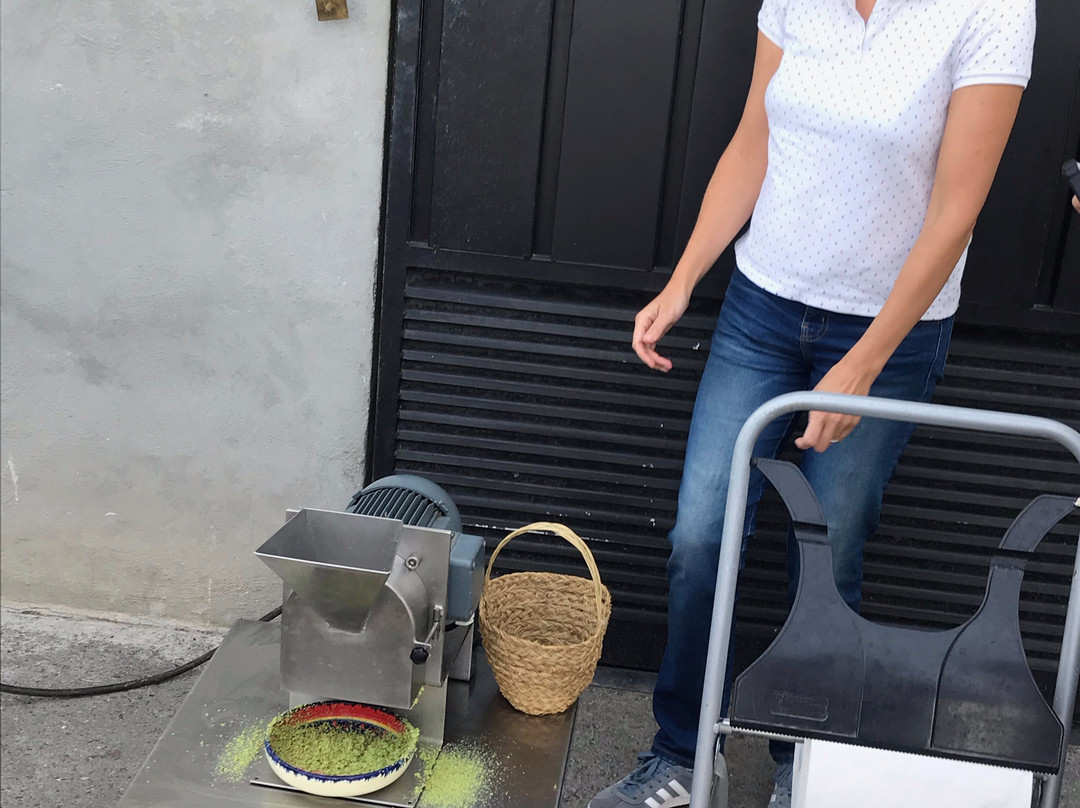 Olive Oil Tour-格拉纳达必去景点