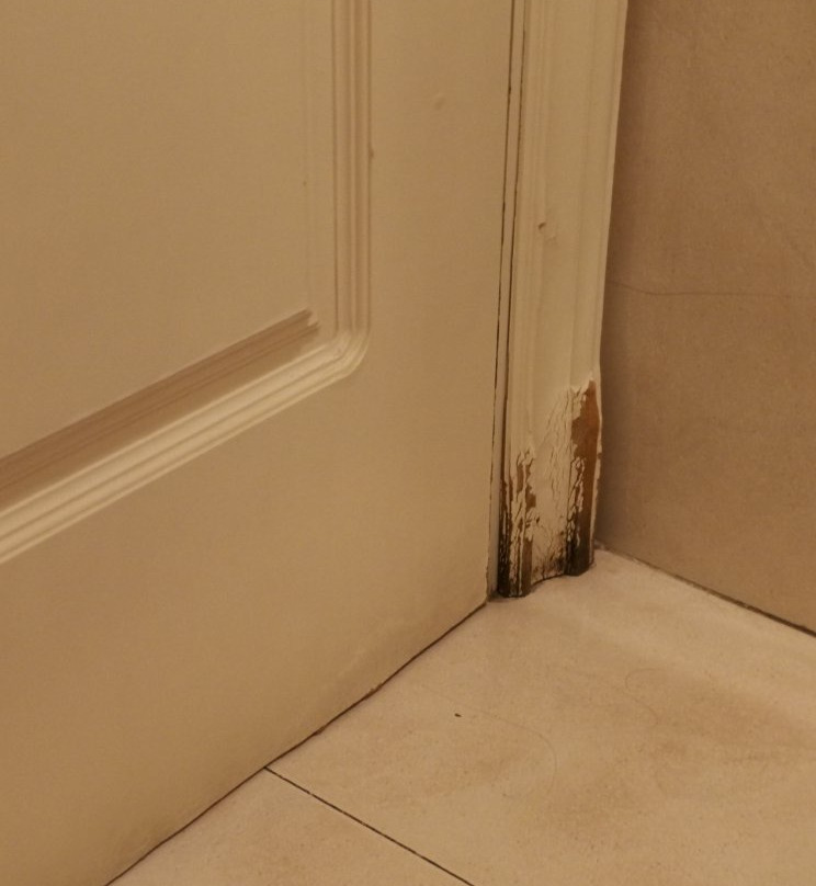 Hospedium Hotel Blu Sondika主图