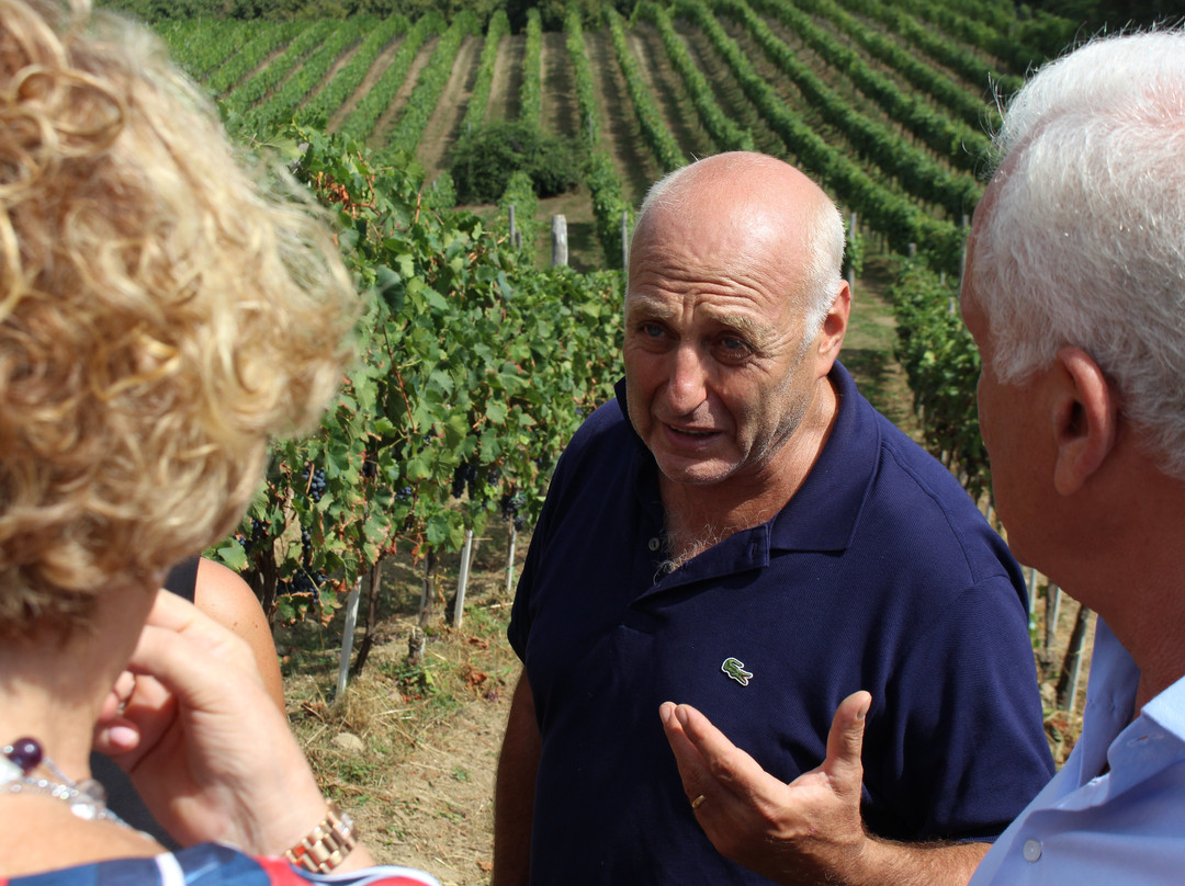 Crypta Castagnara Cantine景点图片