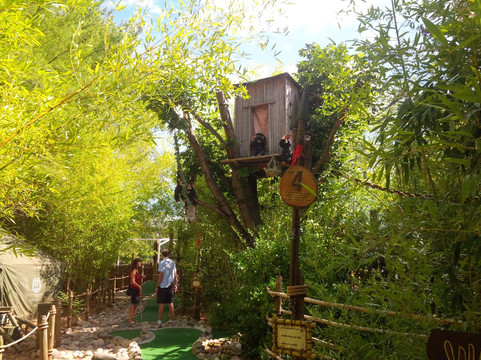 Perils of the Lost Jungle Minature Golf