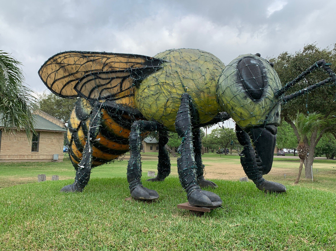 Rio Bravo旅游景点-World's Largest Killer Bee