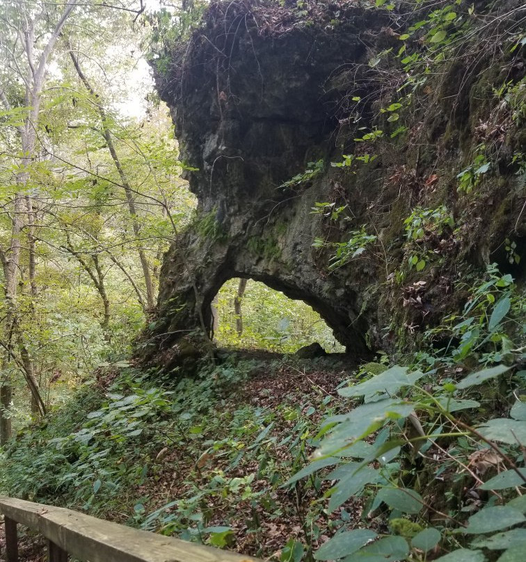 The Highlands Nature Sanctuary景点图片