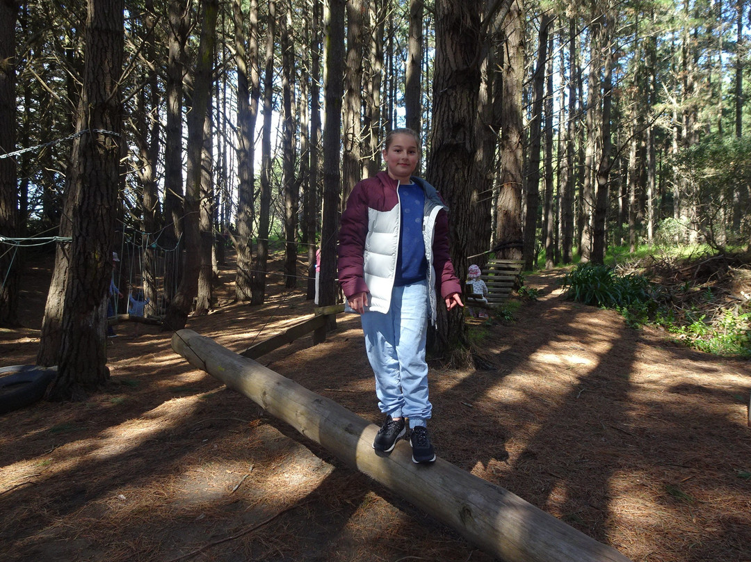 Waitarere Forest景点图片