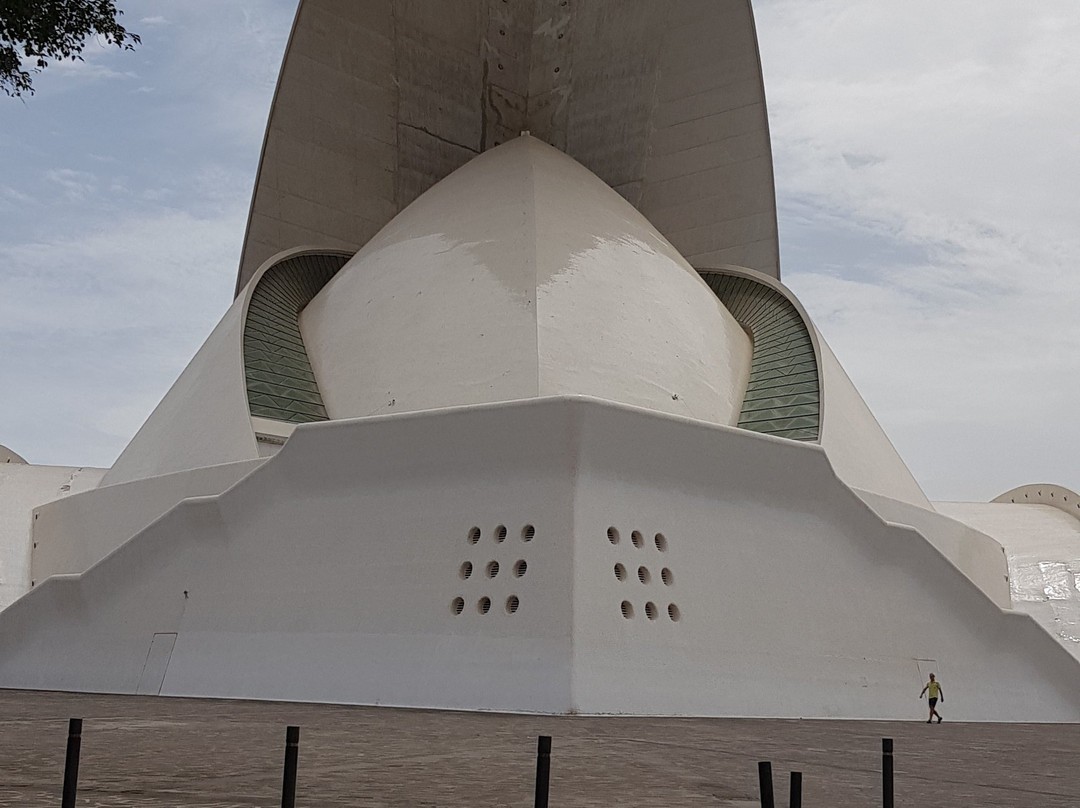 Tenerife Auditorium (Auditorio de Tenerife)景点图片