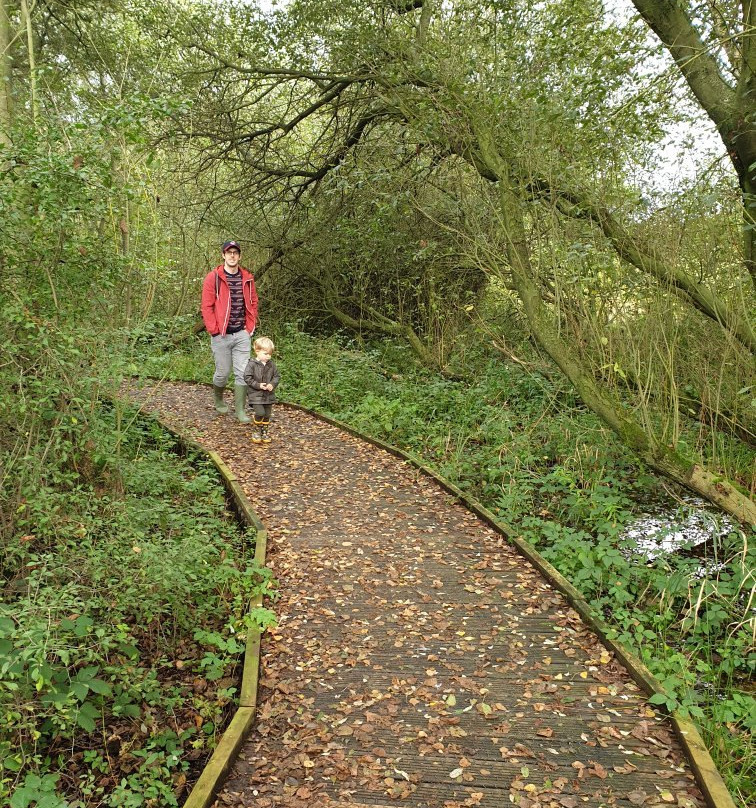 Askham Bog Nature Reserve景点图片