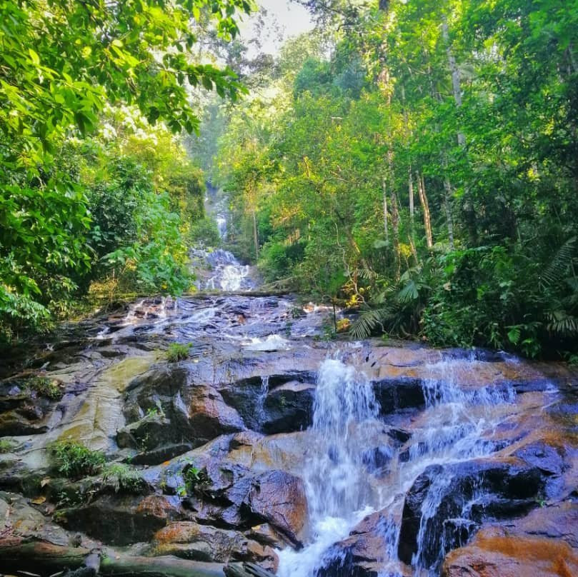 Kanching Rainforest Waterfall景点图片