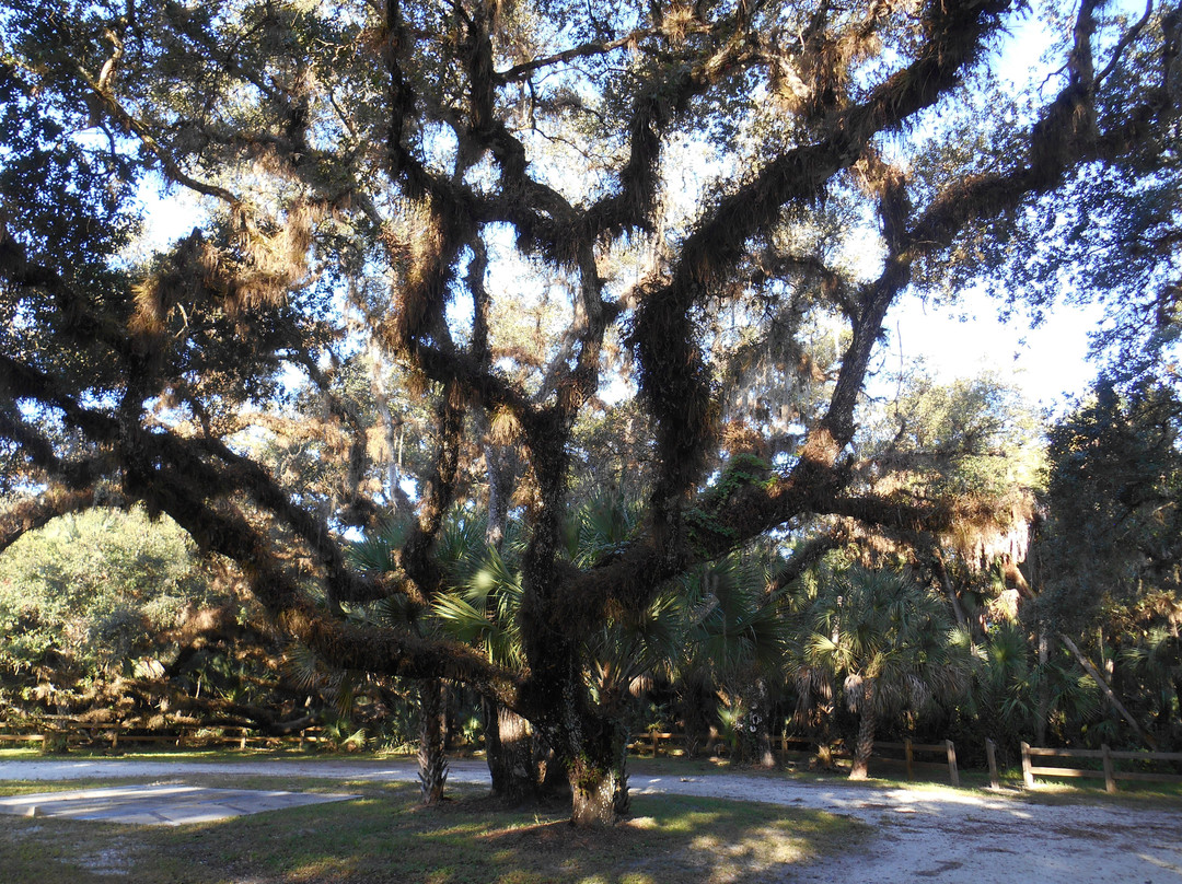 Oaks Park景点图片