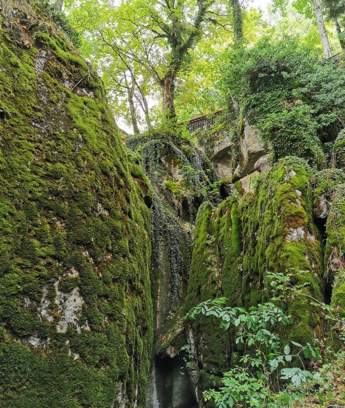 In Quiete Cooperativa景点图片