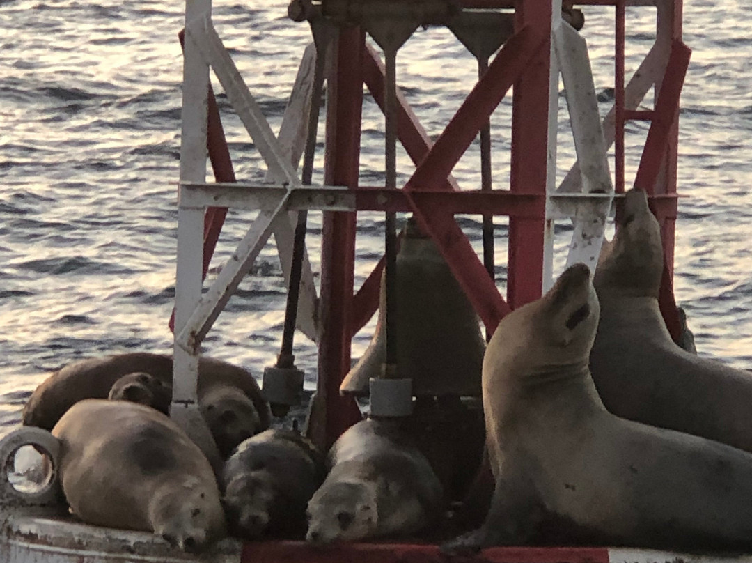 纽波特比奇酒店主图