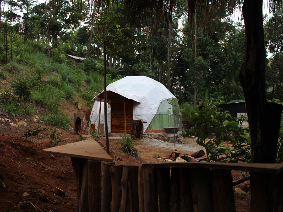 Ella Eco Domes主图