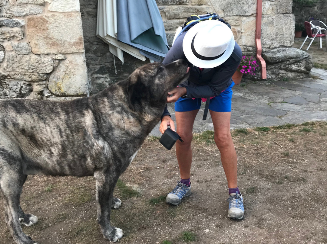 A Parada das Bestas主图