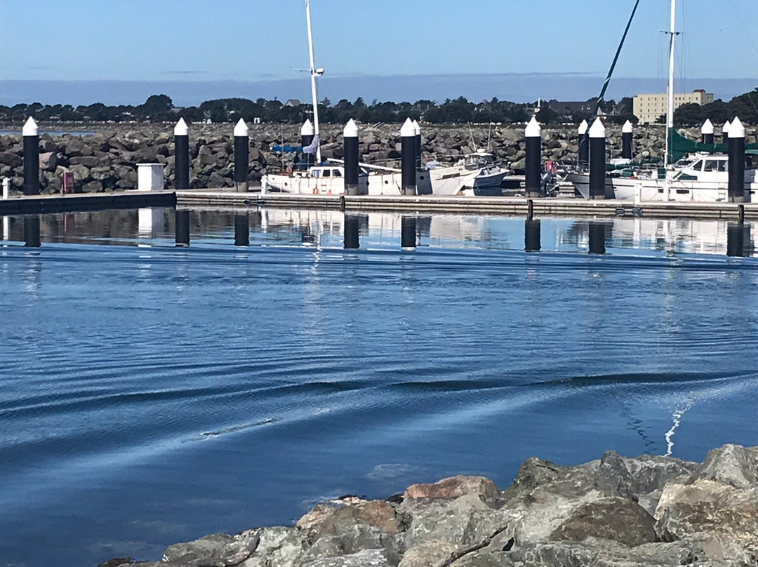 Crescent City Harbor景点图片