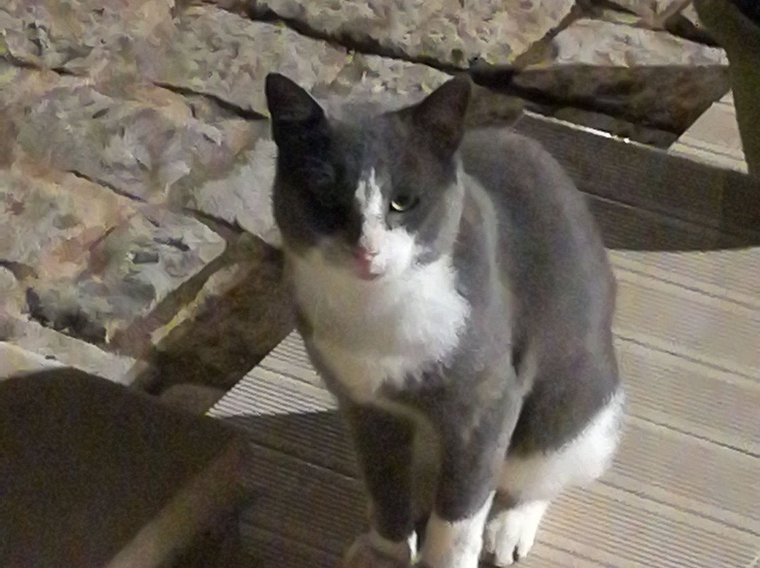 3 Balate Resort主图