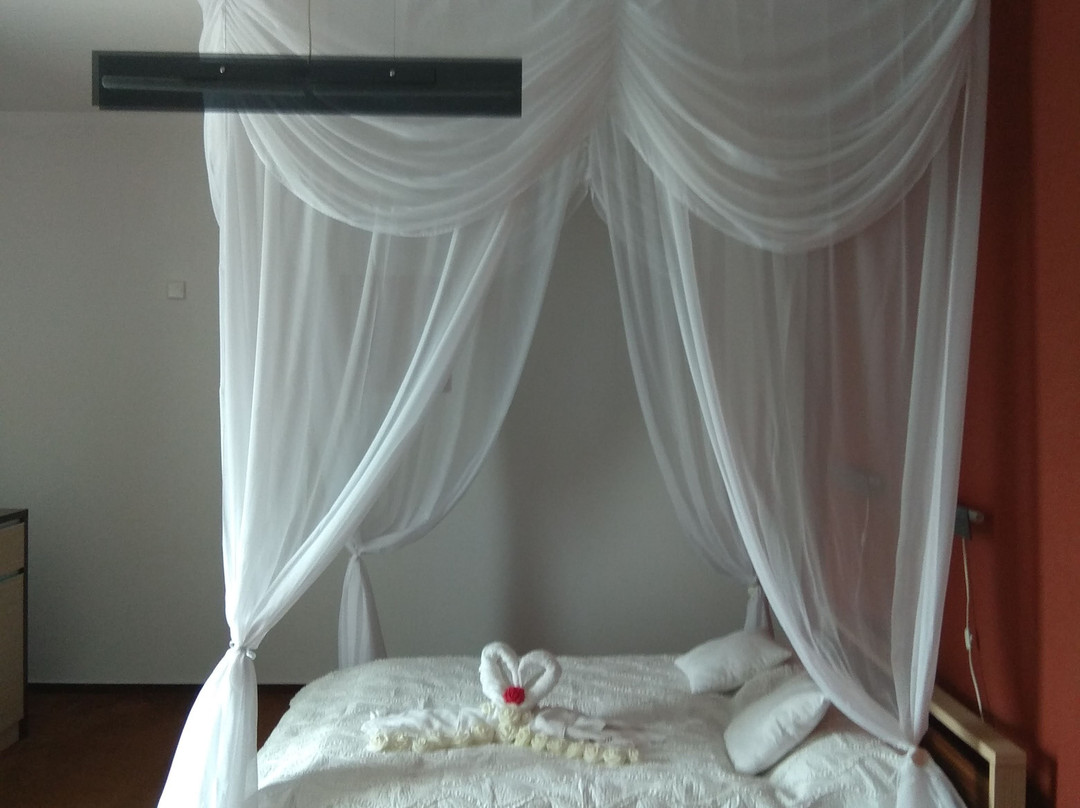 Hotel Bystricka主图
