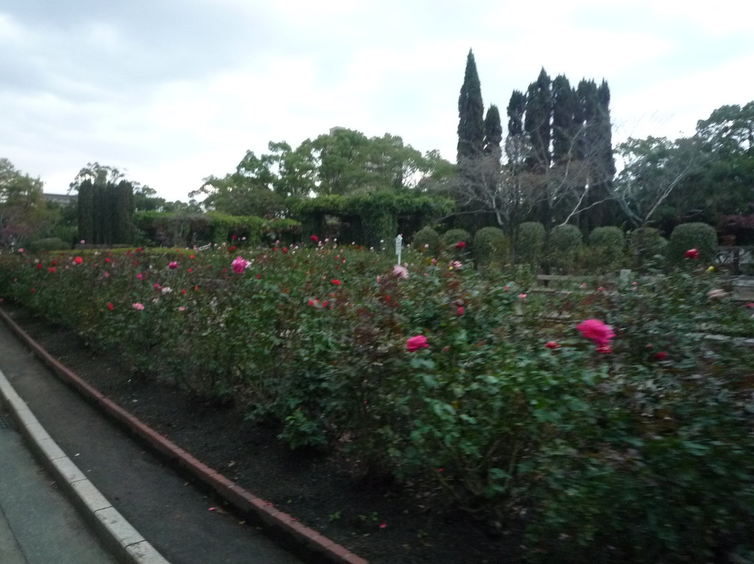 Tokushima Chuo Park-德岛市必去景点