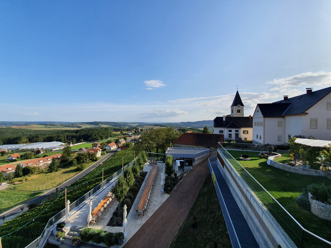 Gesamtsteirische Vinothek景点图片