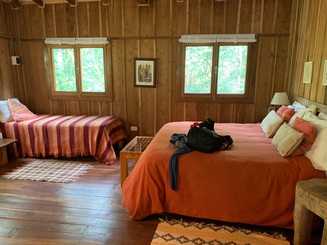 Margay - Reserva Natural & Lodge de Selva主图