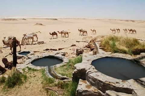 Desert Son-Bawiti必去景点