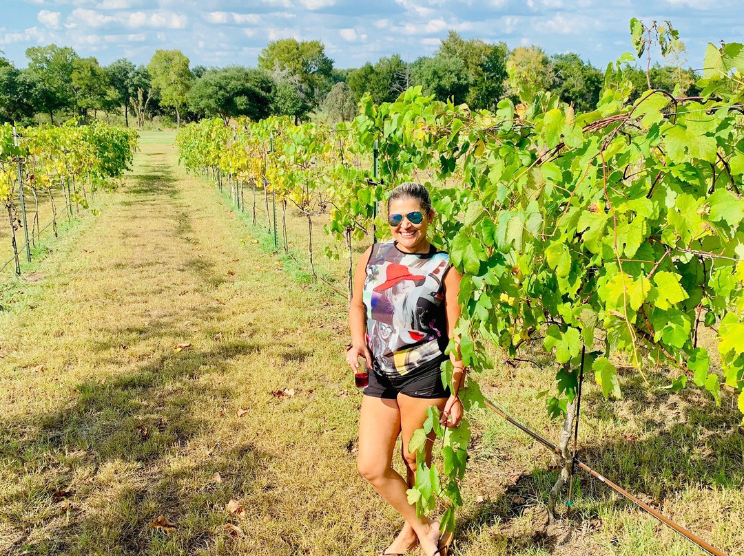 Majek Vineyard & Winery-Schulenburg必去景点