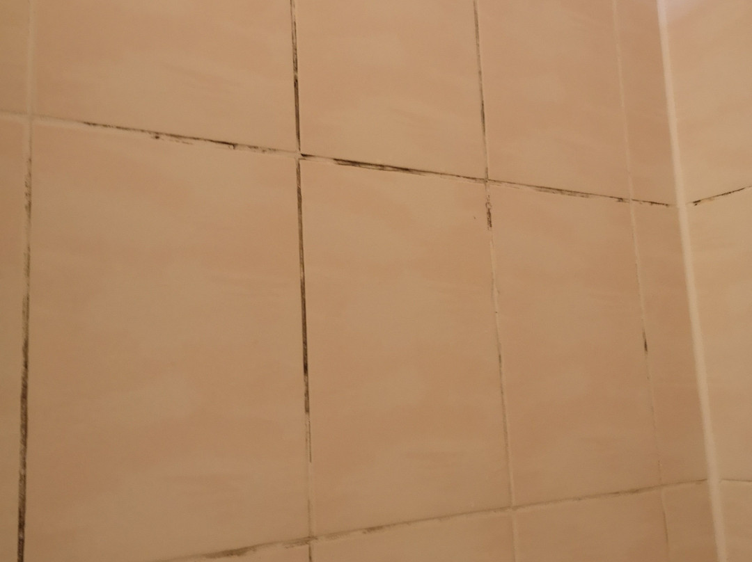 Hotel-Restaurant Zum Zeppelin主图