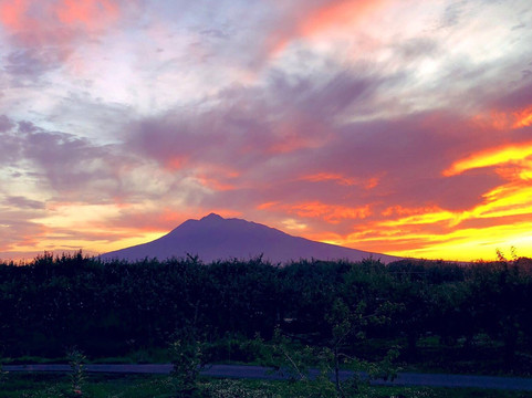 Masahiro Ringo Orchard-弘前市必去景点