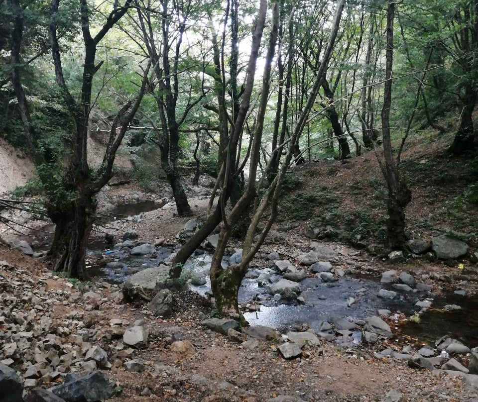 Su Dusen Selalesi景点图片
