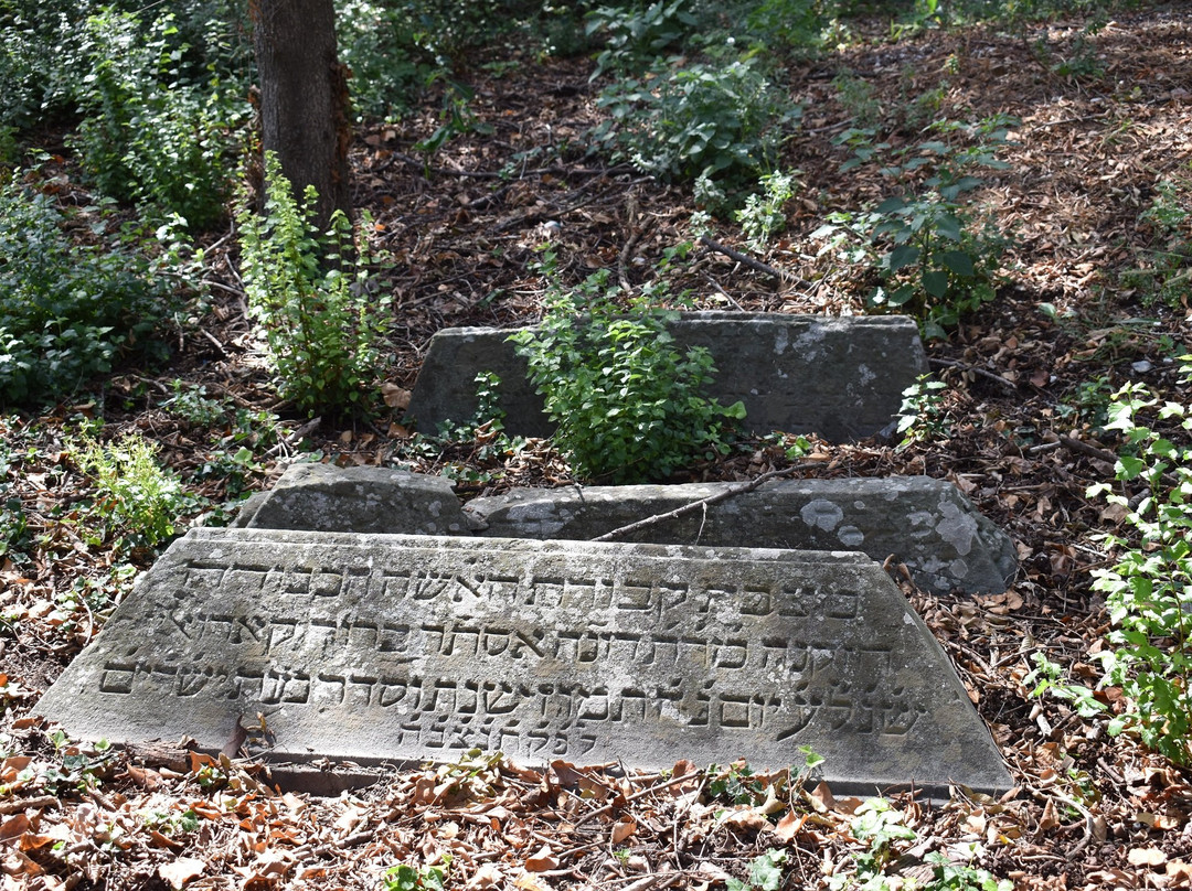 Cimitero Ebraico景点图片
