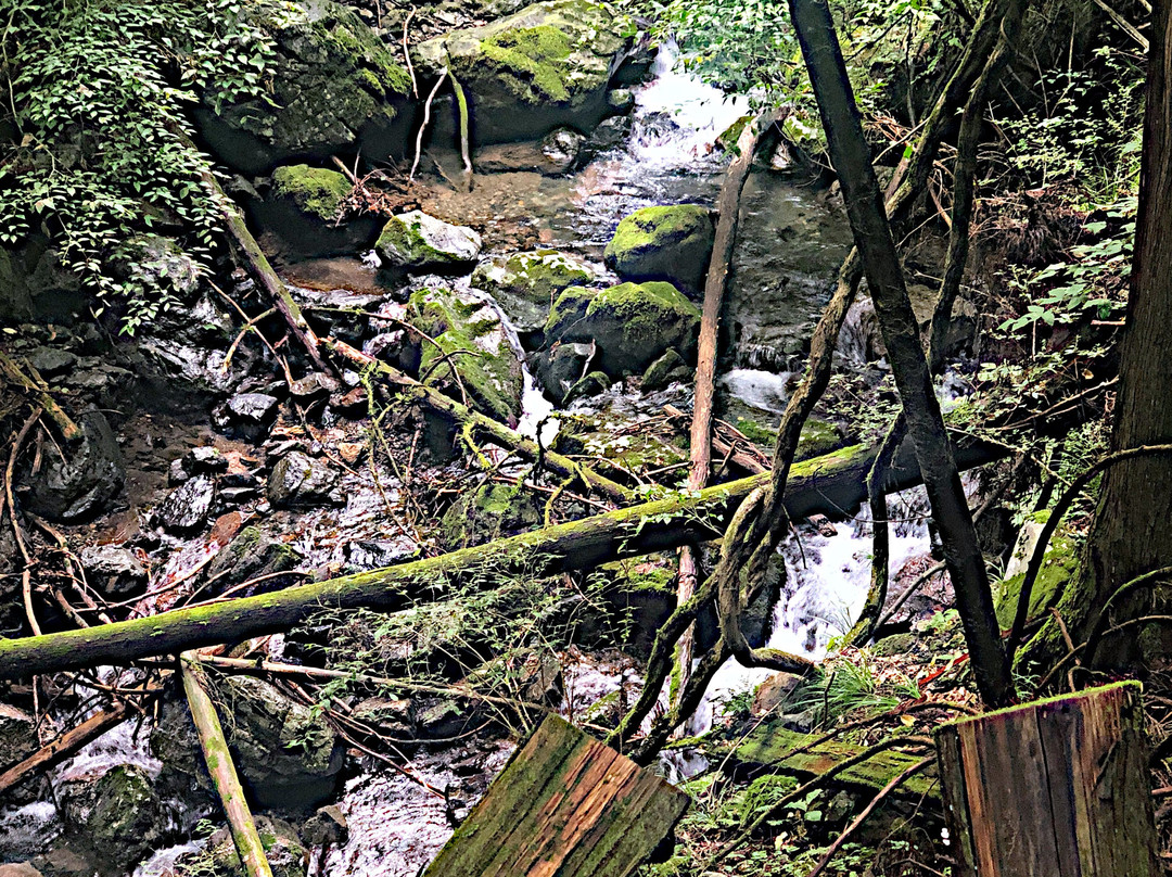 Kamikugayoriguri no Otaki