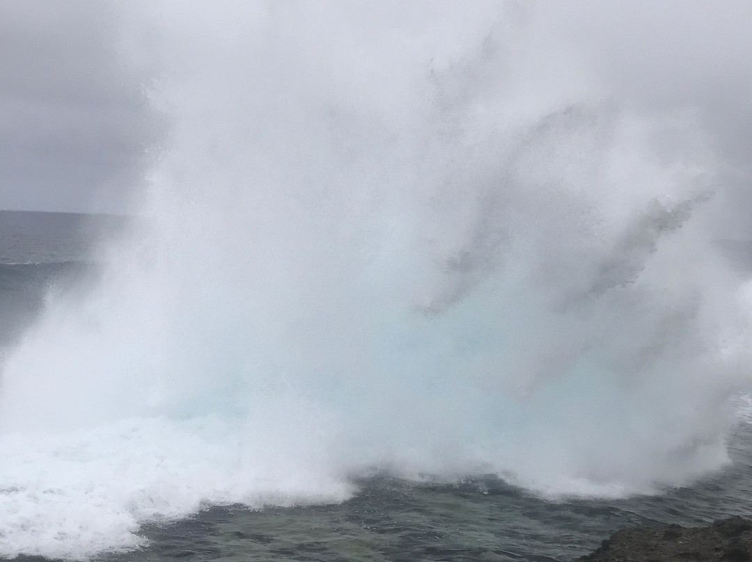 Tonga Travel Troupe-努库阿洛法必去景点