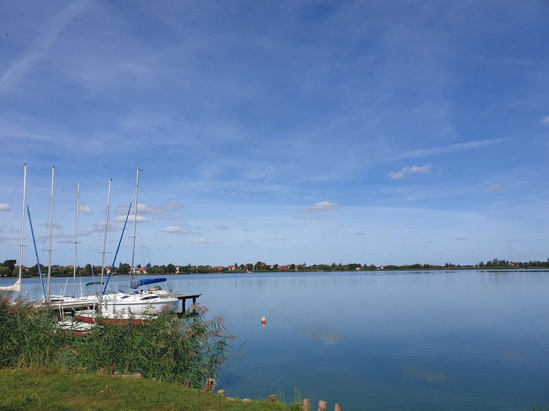 Kunice旅游攻略图片