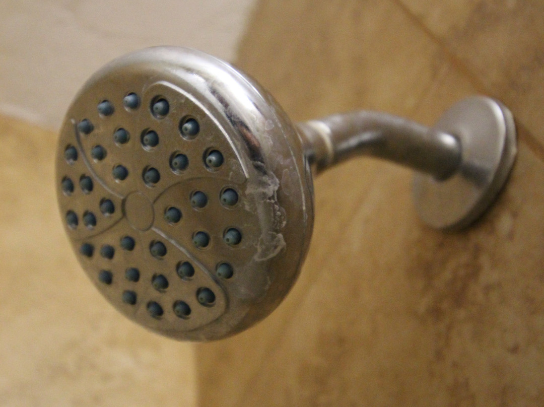 Vagabond Inn Bakersfield South主图