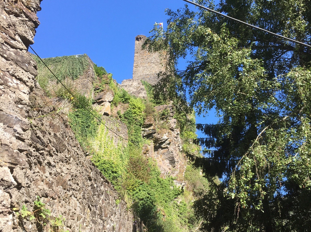 Manderscheider Burgenstieg景点图片