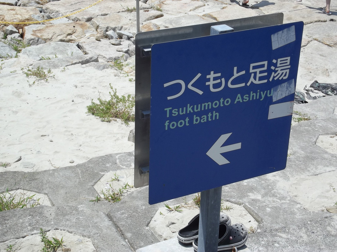 Tsukumoto Ashiyu-白滨町必去景点