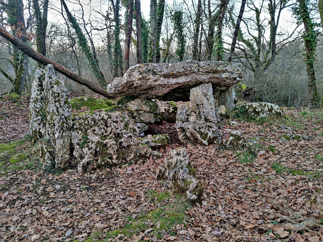 Dolmen D'arlait À Château-larcher景点图片