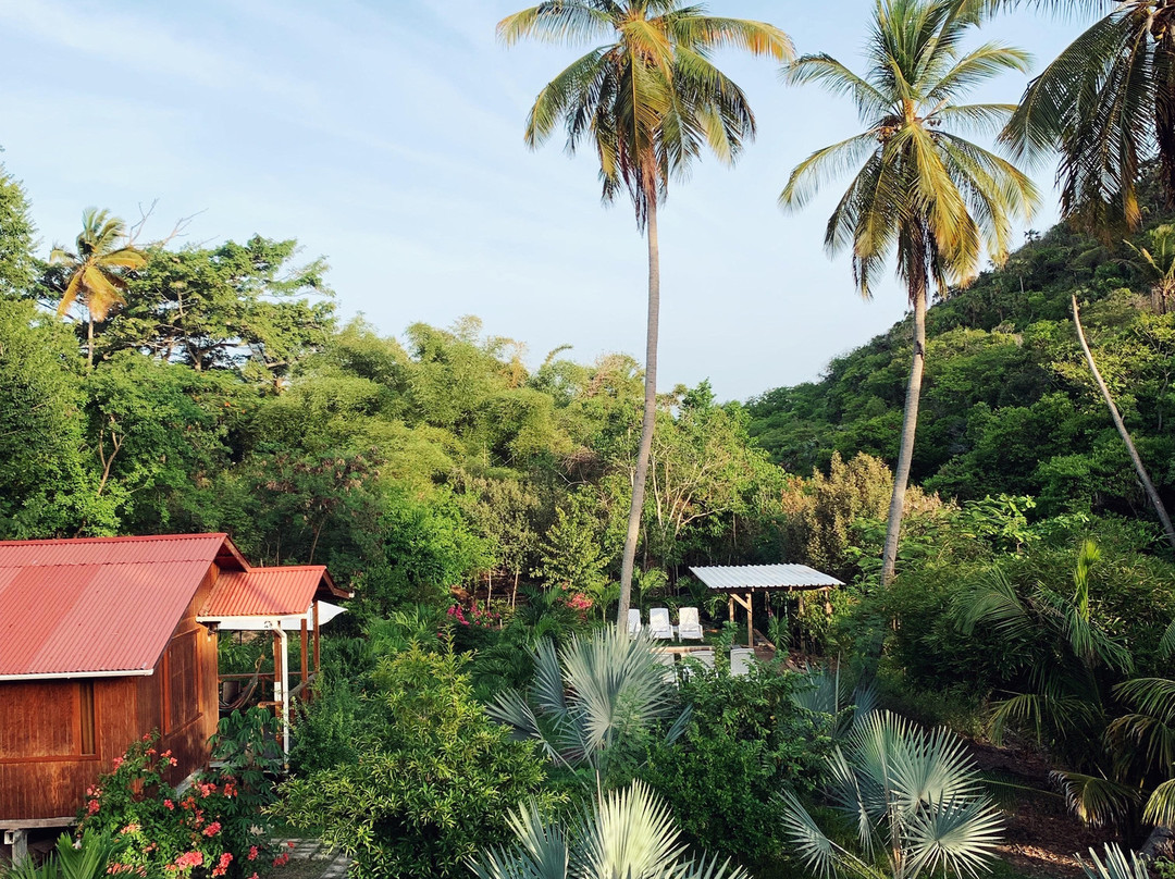 Hotel Yellow Home Providence Island主图