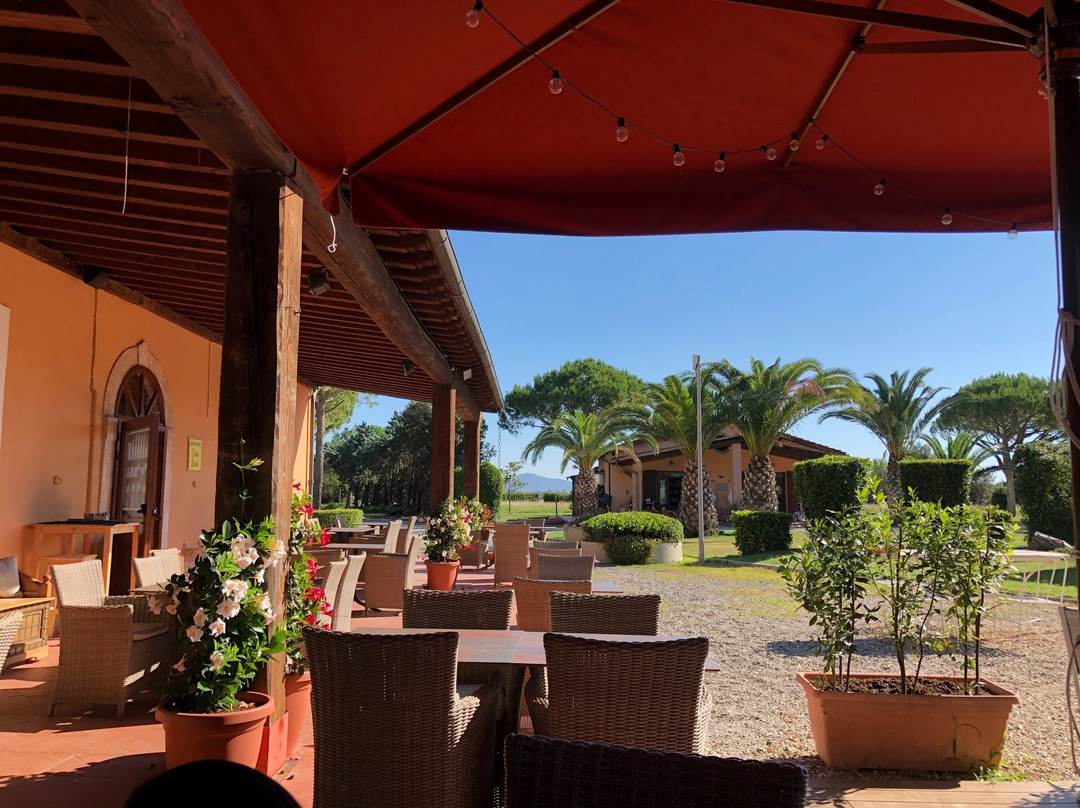 Fattoria San Lorenzo主图