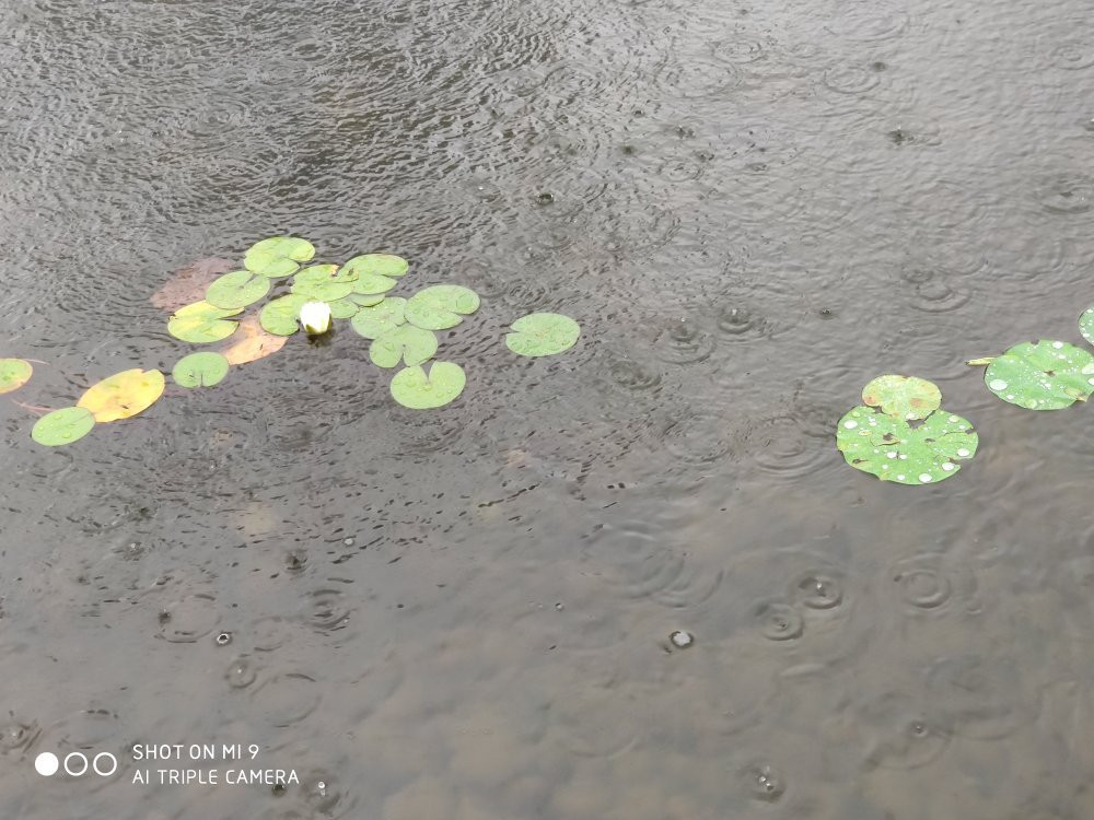 哈尔滨融创万达嘉华酒店主图